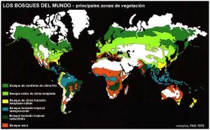 1_4_escalainternacional