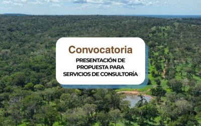 Convocatoria presentación servicios consultoría